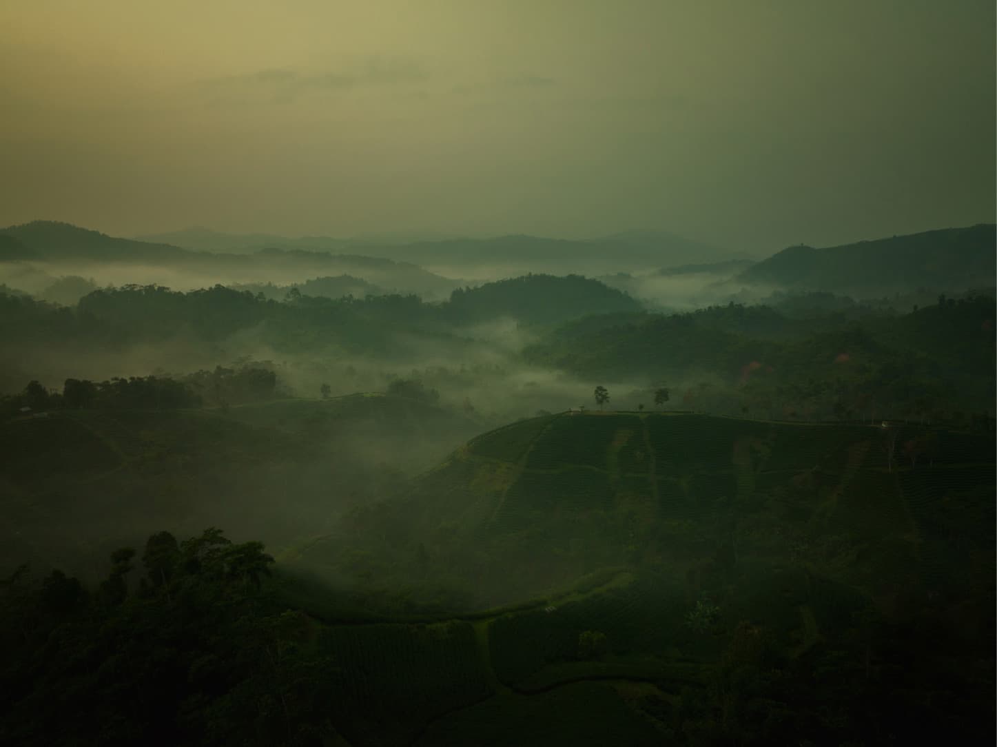 agobay NS 0014 tea mthalimun DJI 0004 agobay NS 0014 tea mthalimun DJI 0004