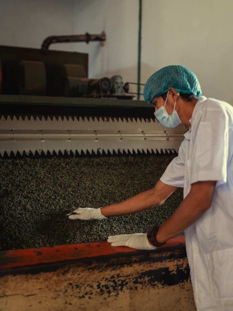 agobay NS 014 tea mthalimun 2L0A9771 agobay NS 014 tea mthalimun 2L0A9771