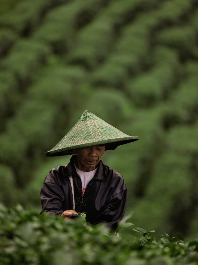 agobay NS 014 tea mthalimun 2L0A0451 agobay NS 014 tea mthalimun 2L0A0451