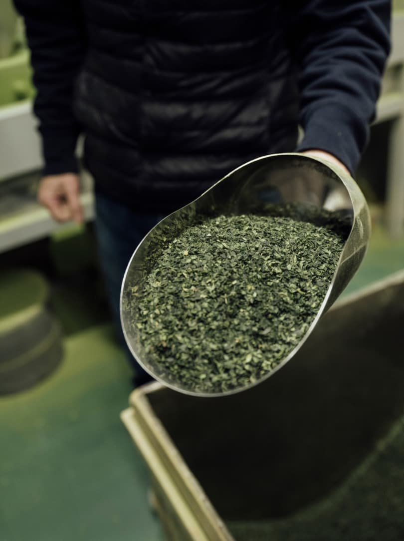 agobay MT 0026 kyoto-tea-112 agobay MT 0026 kyoto-tea-112