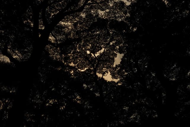 Almost Awake Playlist