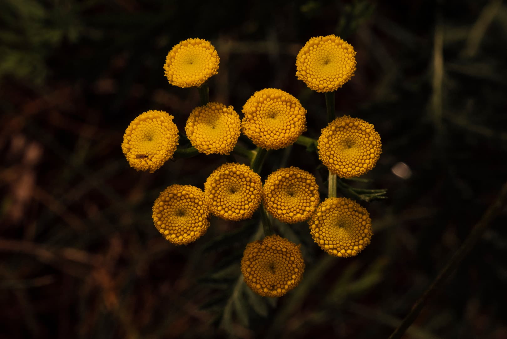 agobay-MT-033-slowness-80 agobay-MT-033-slowness-80