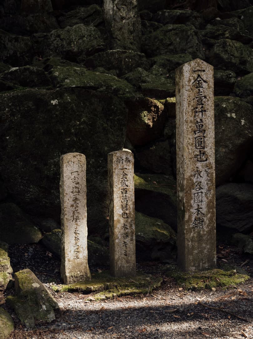 agobay MT 0026 kyoto-tea-51 agobay MT 0026 kyoto-tea-51