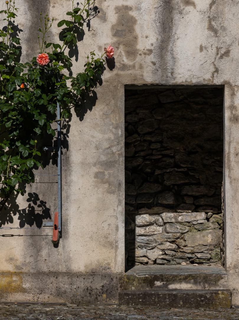 agobay NS 0028 artisan-circle-01 2L0A4646 agobay NS 0028 artisan-circle-01 2L0A4646