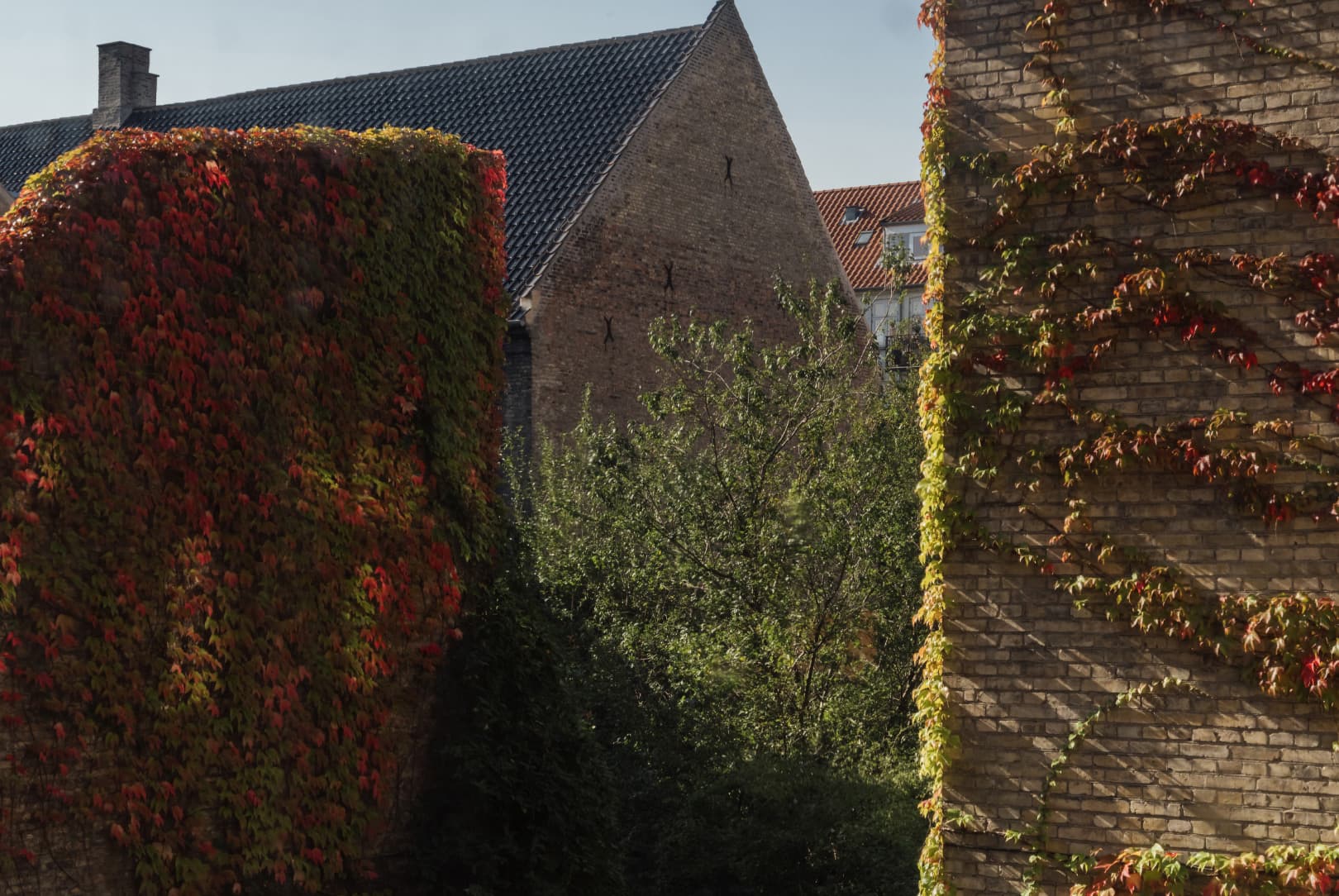 agobay MT 017-frama-115 agobay MT 017-frama-115