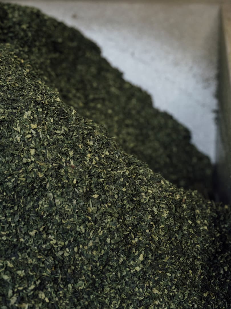 agobay MT 0026 kyoto-tea-109 agobay MT 0026 kyoto-tea-109