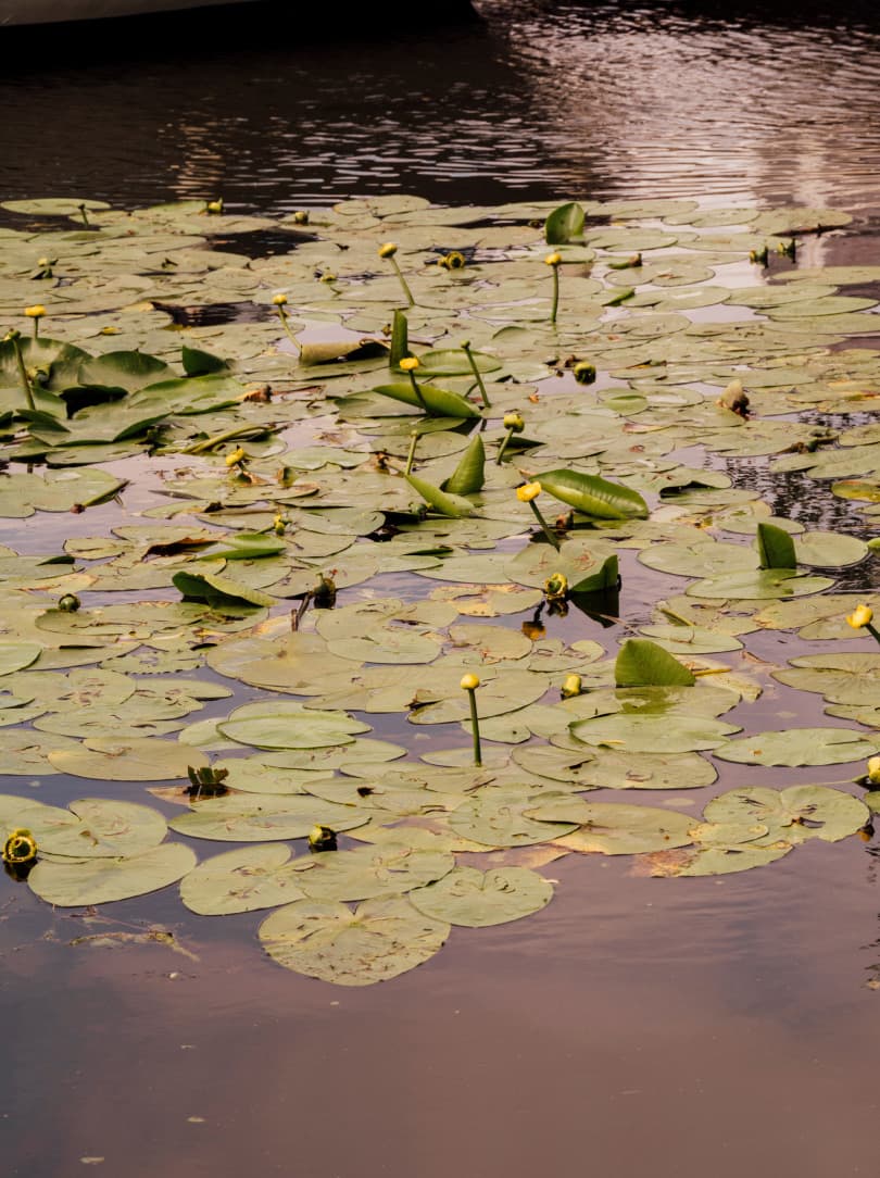 agobay-MT-033-slowness-74 agobay-MT-033-slowness-74