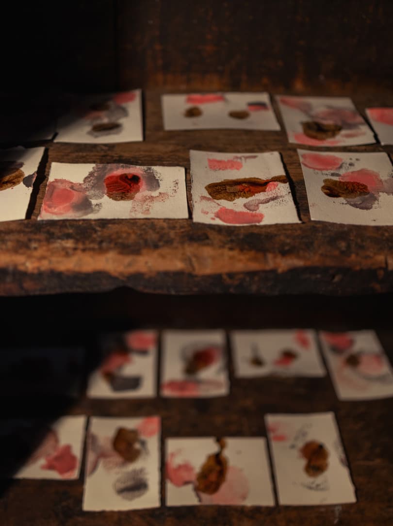 agobay NS 015 helga ritsch 2L0A5309 agobay NS 015 helga ritsch 2L0A5309