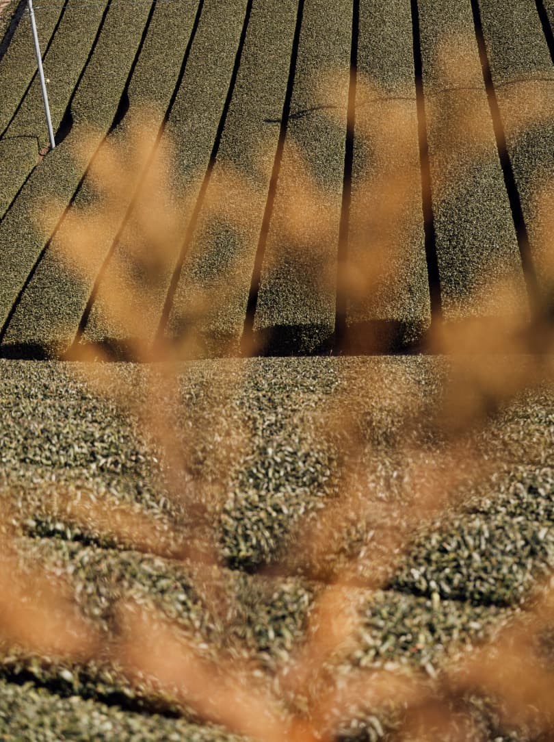 agobay MT 0026 kyoto-tea-37 agobay MT 0026 kyoto-tea-37