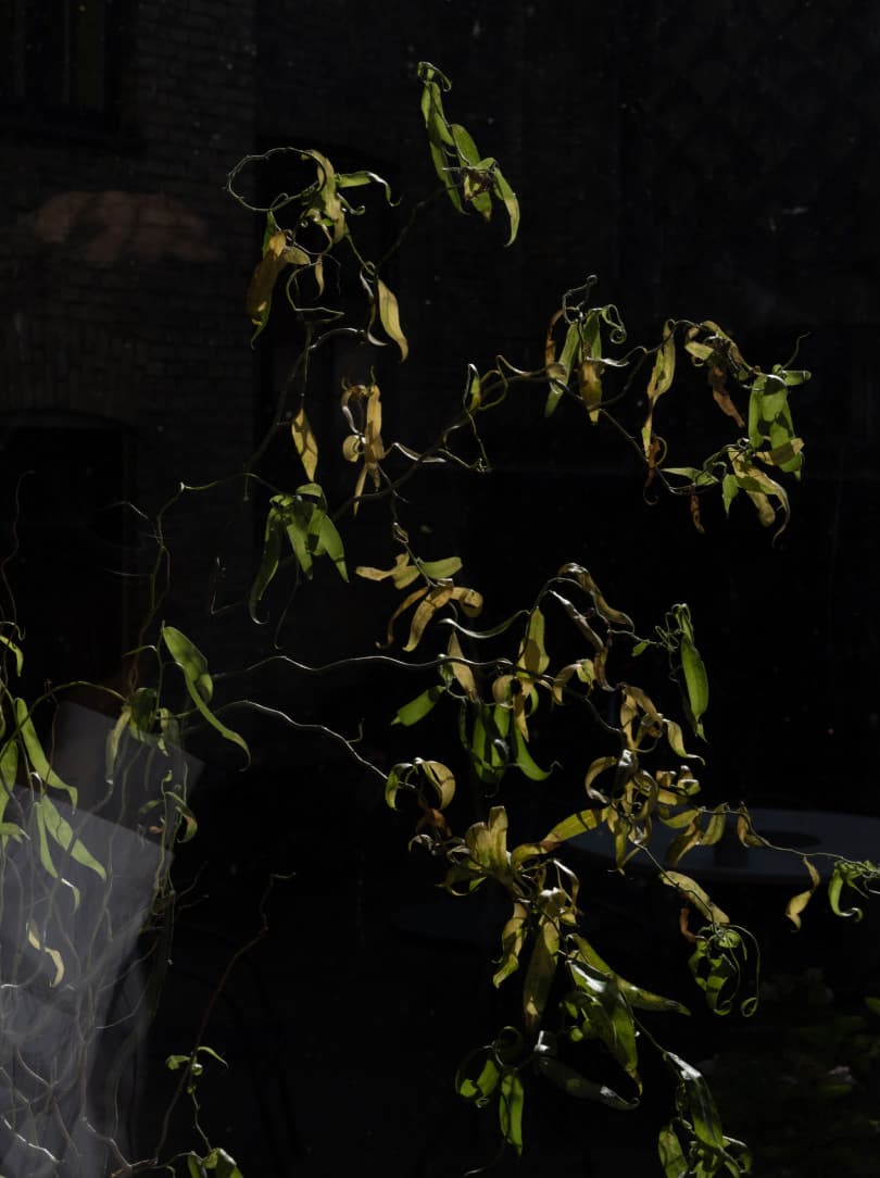 agobay MT 017-frama-110 agobay MT 017-frama-110