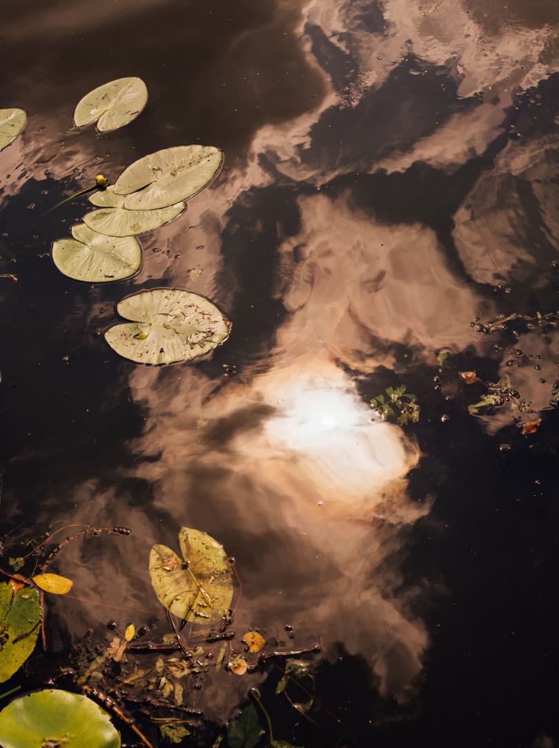 agobay-MT-033-slowness-37 agobay-MT-033-slowness-37